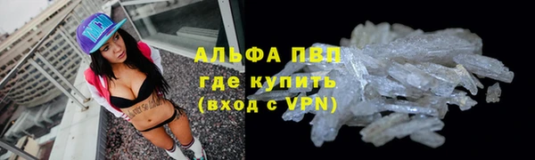 прущие крисы Белокуриха