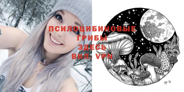 спайс Беломорск