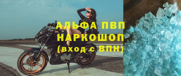спайс Беломорск