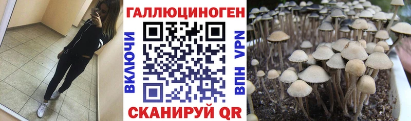 купить наркоту  Волжск  Галлюциногенные грибы мицелий 